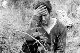 padre padrone